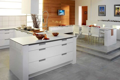 Kitchen - contemporary kitchen idea in Miami