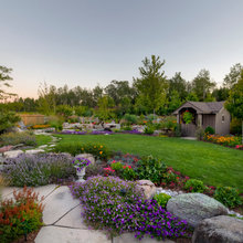 back  yard