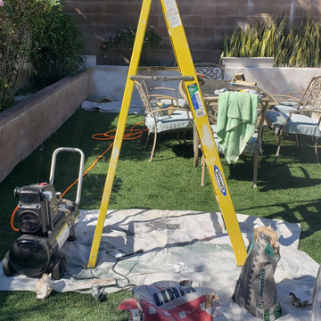 Backyard clean up and remodel