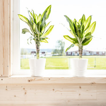 Bostadsmodul
