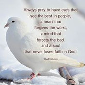 Ellen O'Grady's photo