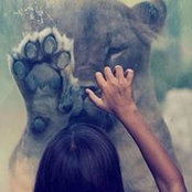 Julie Markey's photo