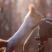 Umm Merlin's photo