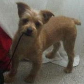 Photo de Mandy Buehlmann