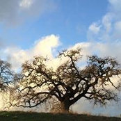 Martha England Harp's photo