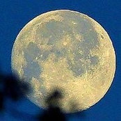 Patricia Stoops Bucchioni's photo