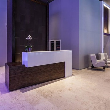 Chicago High Rise Residential Lobby and Amenity Spaces