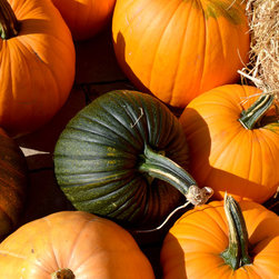 Harvest Festival - Products