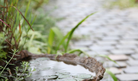涼しさ満点。水を庭に取り入れる