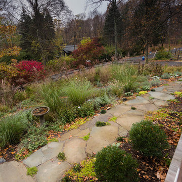 Rethinking the Front Lawn - Try a Native Perennial Garden Instead!
