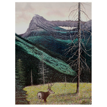 Mike Bennett Mule Deer Near Glacier Park. Art Print, 9"x12"