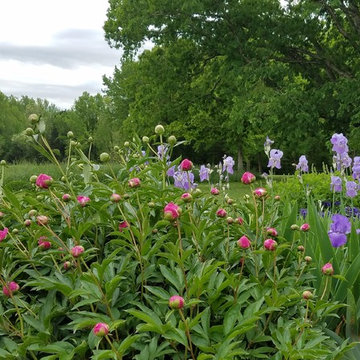 Country Garden