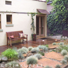 Landscape Ideas