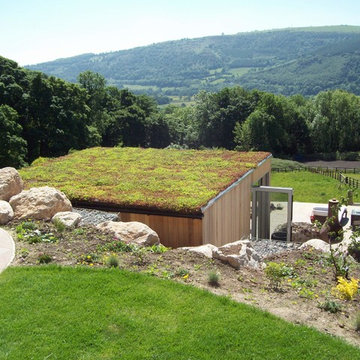 Garden Room - Sedum Green Roof