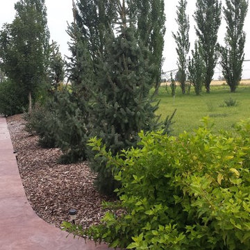 Country Living