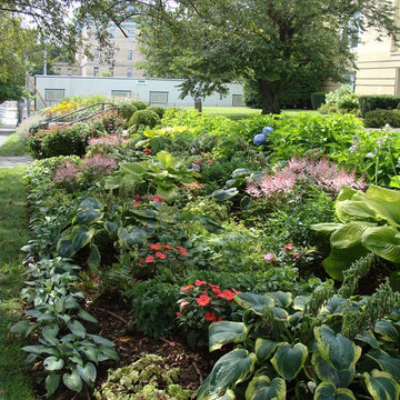 Shade garden along Greenwich, CT sidewalk