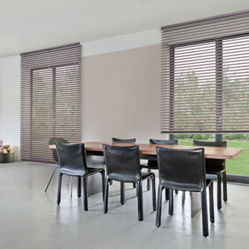 Venetian Blinds