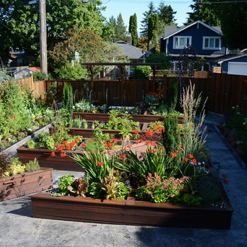 Raised Vegetable / Ornamental Garden 2015