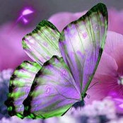Myrianne Msb's photo