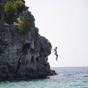 Tao Wang's photo