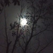 Foto von Lori Cain