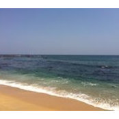 Alejandra Platoni's photo