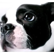 Mark Schaaf's photo