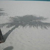 Danielle Simard's photo