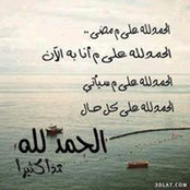 Foto von Alaa Elsherif