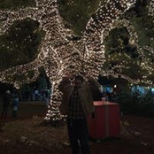 Brian Gilbert's photo