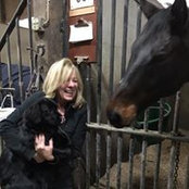 Dawn Stavropoulos's photo