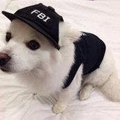 Lily's photo