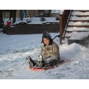 Sandi Sturgill's photo