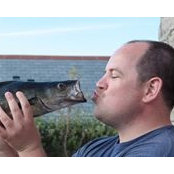 Mark Hibberd's photo