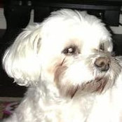 Kelly Hightower's photo