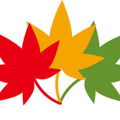 Maple Design