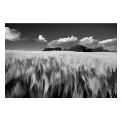 Douglas Page Photographic Arts - Wheat Field, Art, Bw, Canvas Giclee, 24"x16" - Prints And Posters