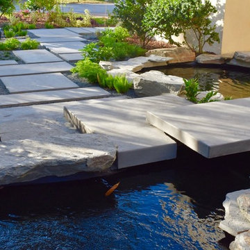 Modern Front Yard Water Garden