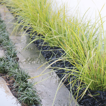 Moonee Ponds - Vine St 2.0