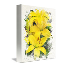 Paintings