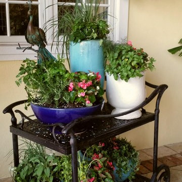 Patio Paradise