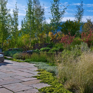 2015 Garden Dialogues: Aspen, DBX3, August 8