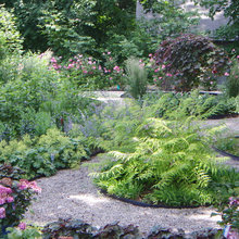 landscaping ideas