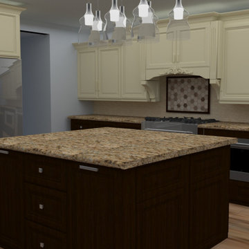 Two Tone Color Classic Kitchen Style Remodeling & Design in Cypress, TX (3D Desi