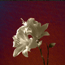 Vintage Lily - Tile