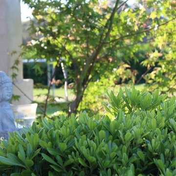 Tranquil Gardens