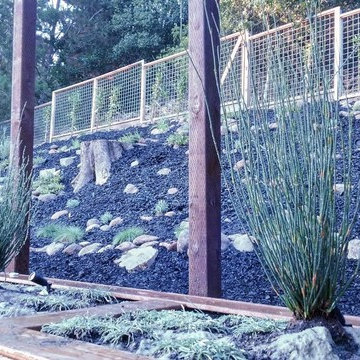 Low Maintenance Oakland Native Habitat