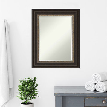 Paragon Bronze Beveled Bathroom Wall Mirror - 24.5 x 30.5 in.