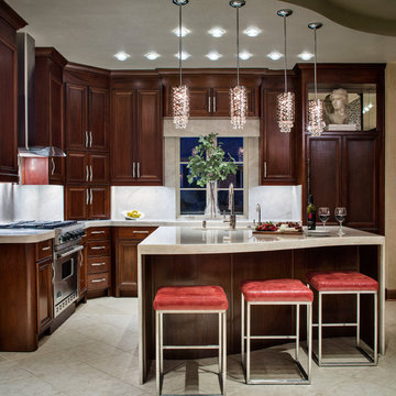 Elegant Transitional House