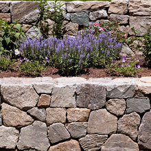 Exterior Ideas